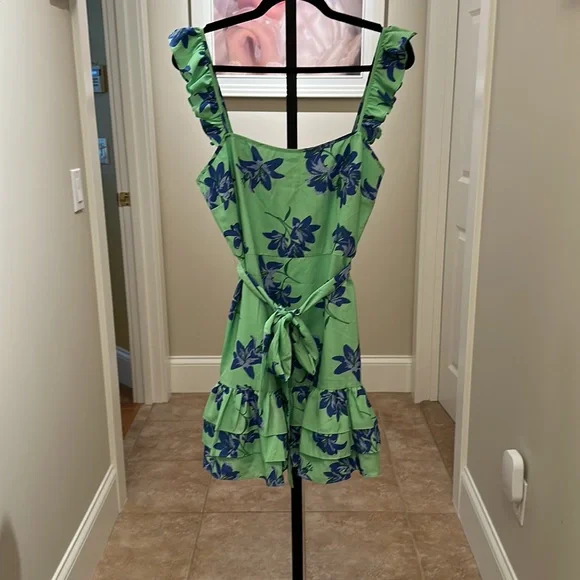 Likely Mini Charlotte Dress In Green Petal. NWT. Size 10 - Picture 7 of 13